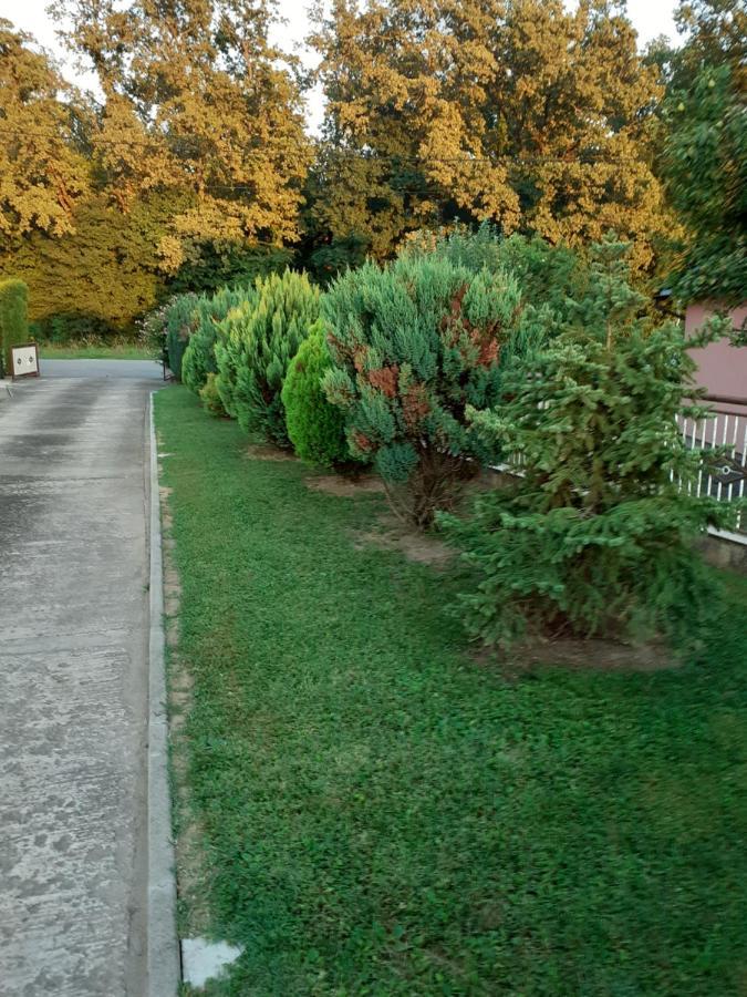 Appartement Maja à Velika Gorica Extérieur photo
